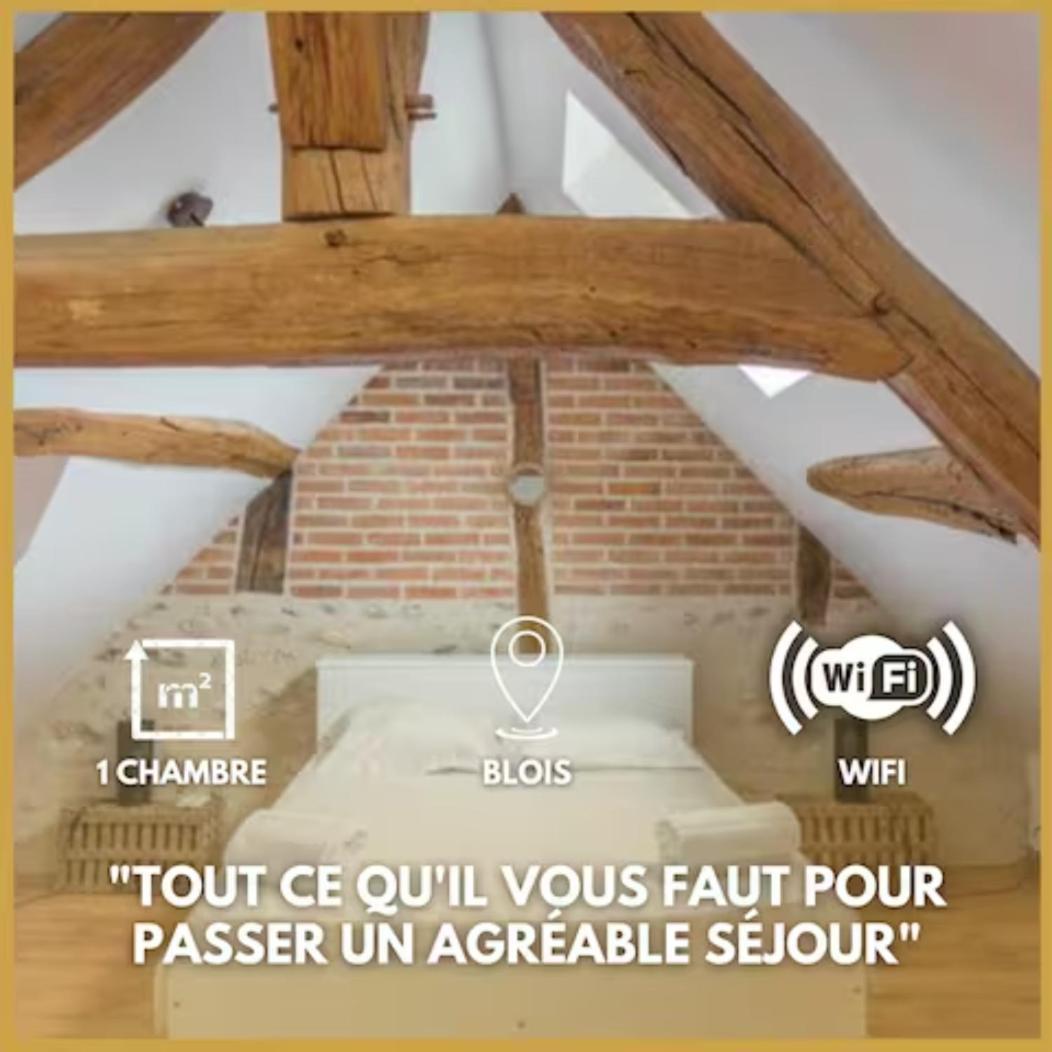 Appartement Duplex Joliblois Extérieur photo